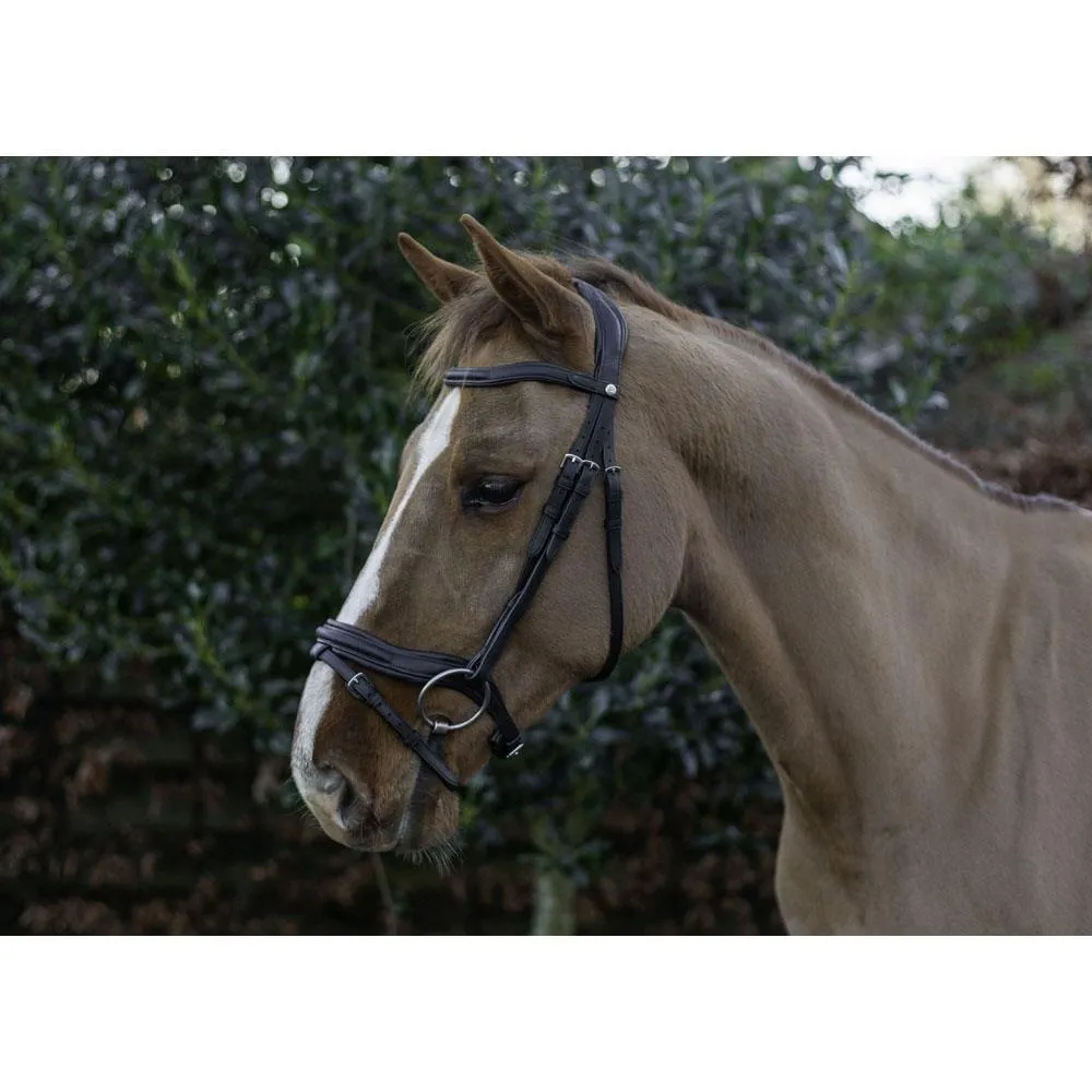 Eco Rider Ultra Comfort Kilkenny Bridle: Anatomic Design for Optimal Comfort