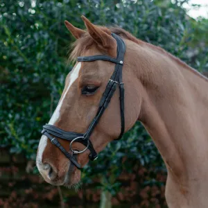 Eco Rider Ultra Comfort Kilkenny Bridle: Anatomic Design for Optimal Comfort