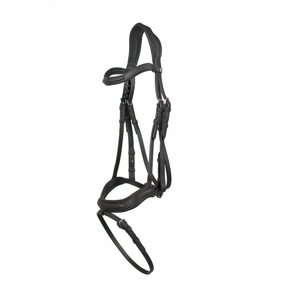 Eco Rider Ultra Comfort Kilkenny Bridle: Anatomic Design for Optimal Comfort