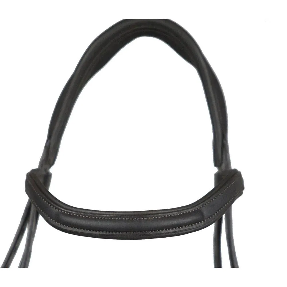 Eco Rider Ultra Comfort Kilkenny Bridle: Anatomic Design for Optimal Comfort