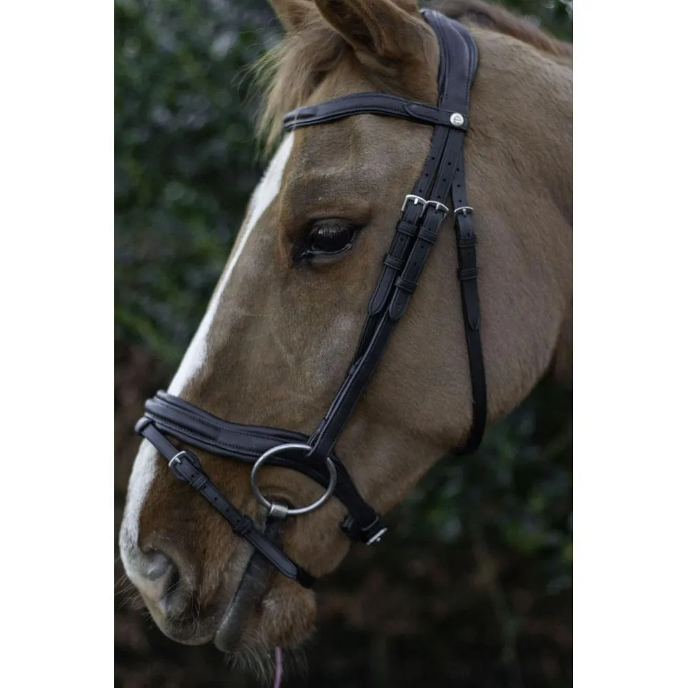 Eco Rider Ultra Comfort Kilkenny Bridle: Anatomic Design for Optimal Comfort