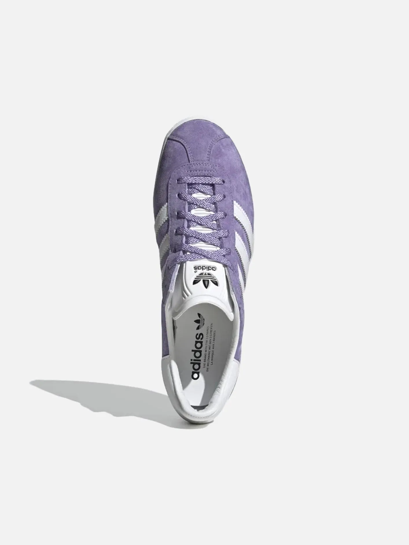 Gazelle 85