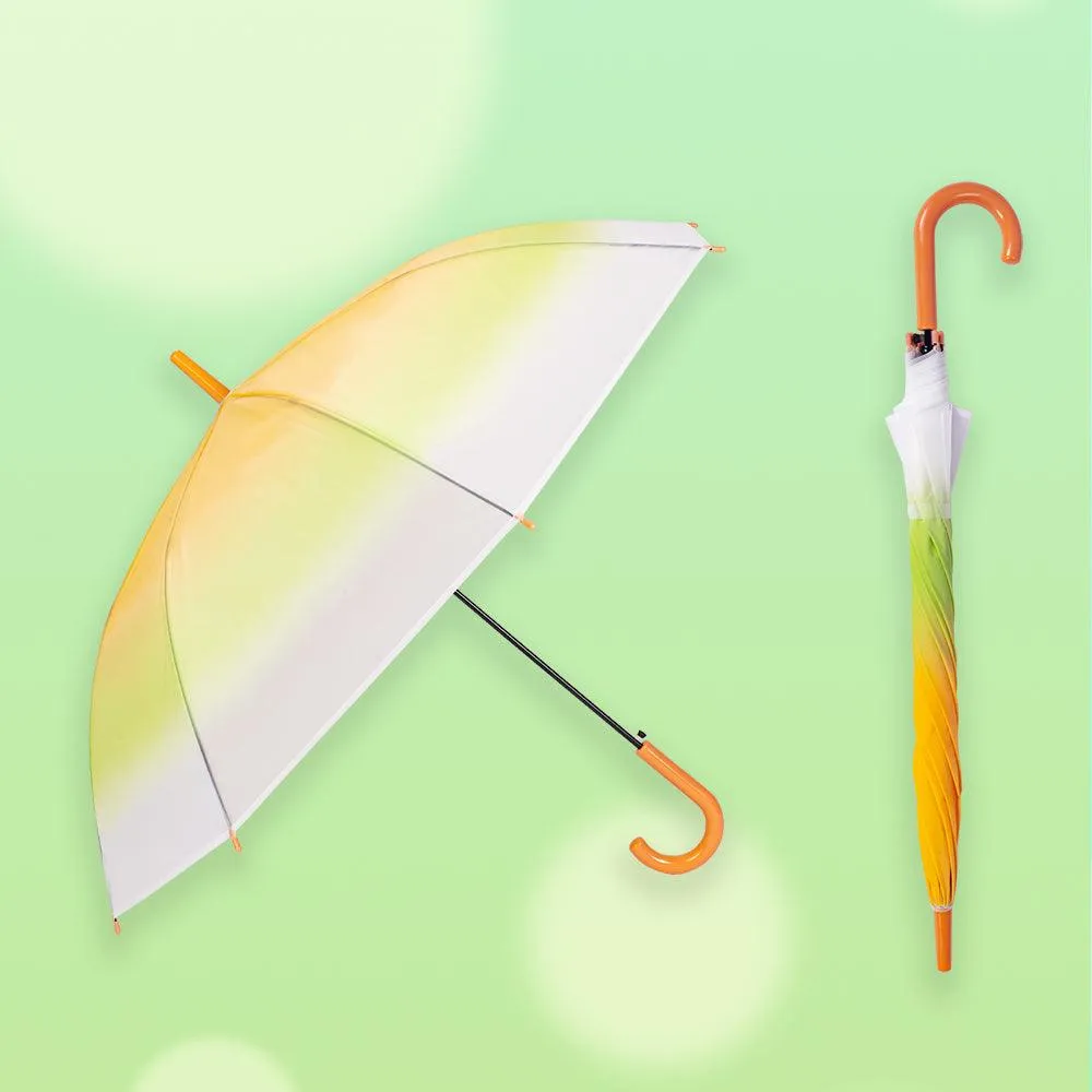 Gradient Transparent Umbrella