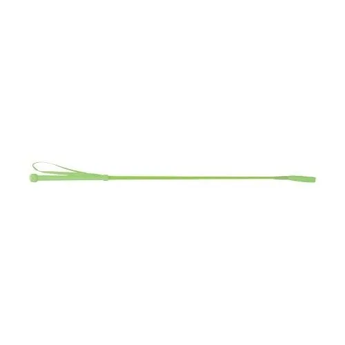 HySCHOOL Bright Riding Whip
