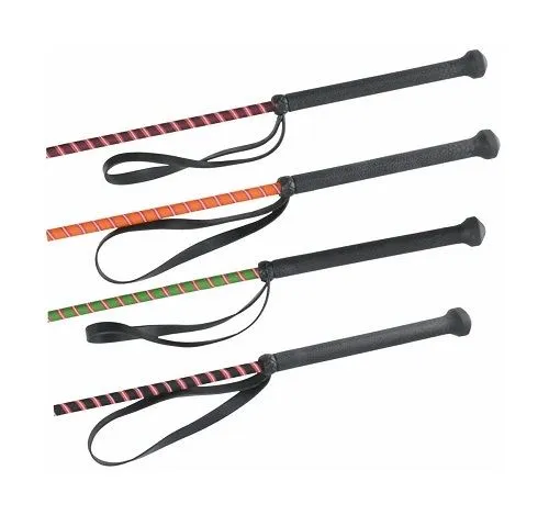 HySCHOOL Multi Riding Whip