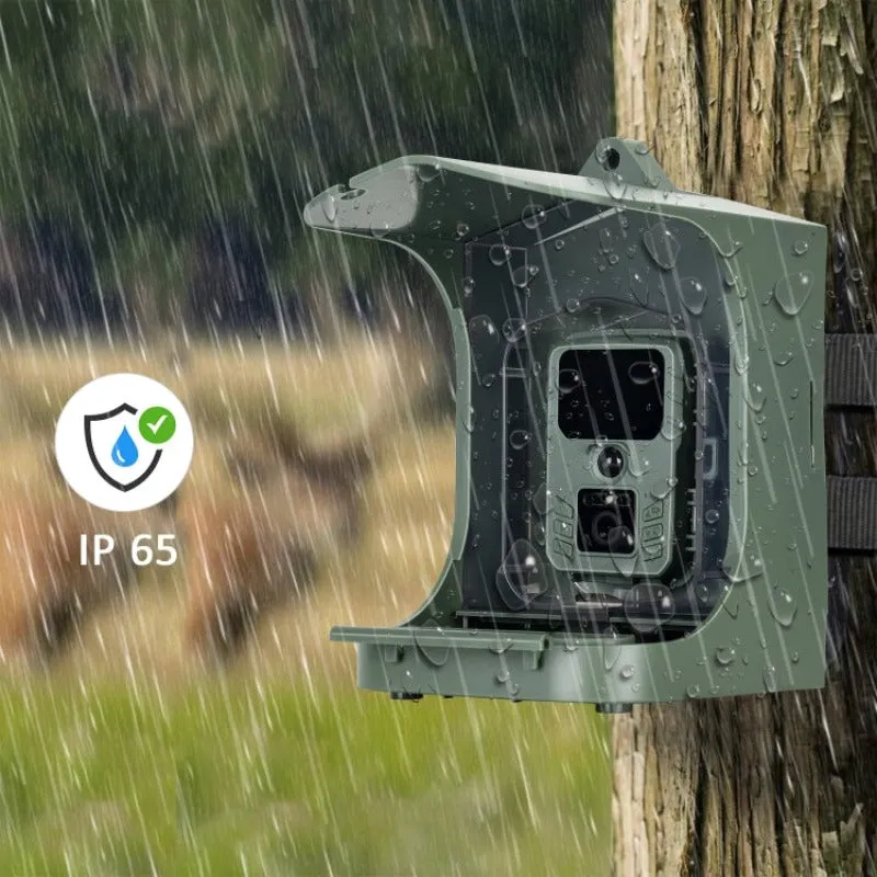 Outdoor Trail Camera Bird Feeder