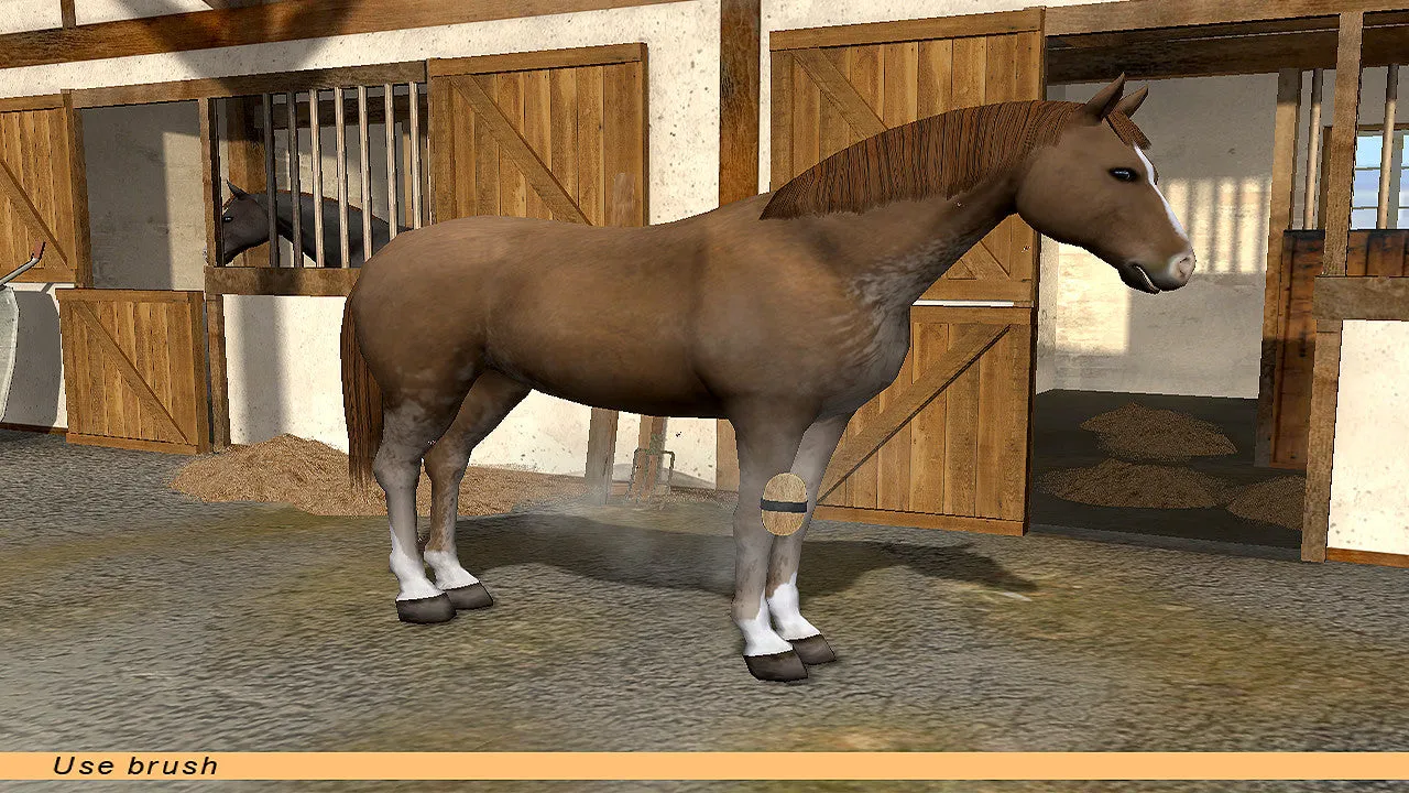 Riding Star (PC)
