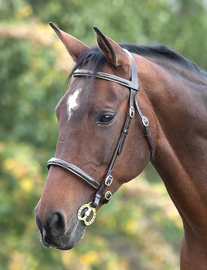 Shires Blenheim Fancy Stitched Inhand Bridle