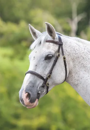 Shires Blenheim Fancy Stitched Inhand Bridle