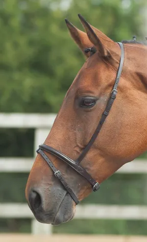 Shires Blenheim Flash Noseband