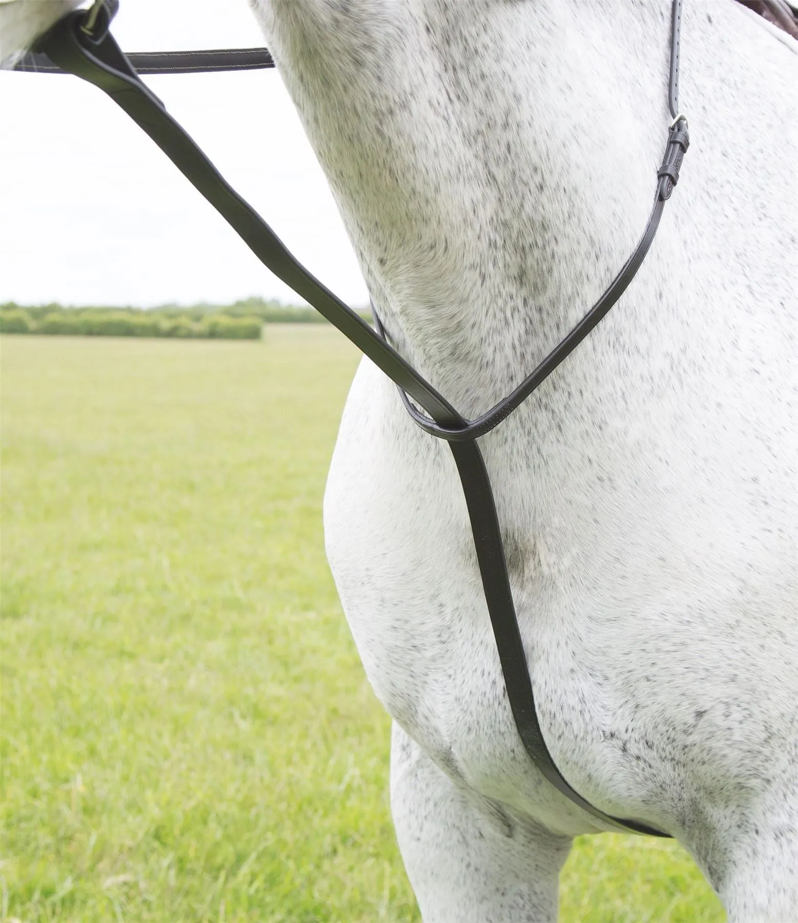 Shires Blenheim Standing Martingale
