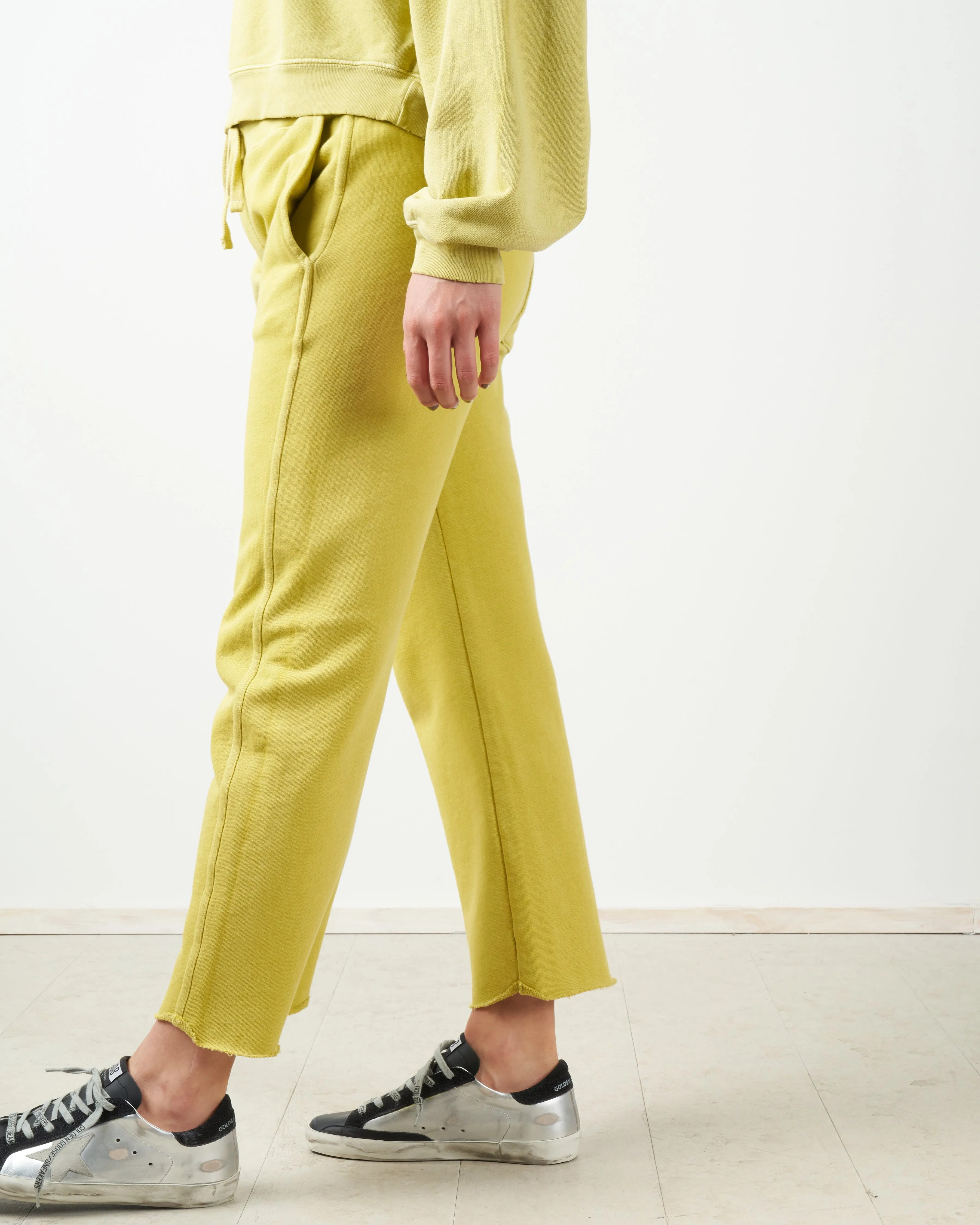 straight leg sweatpant - citronella