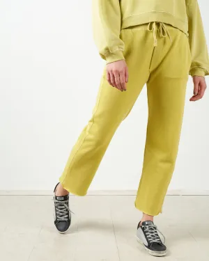straight leg sweatpant - citronella