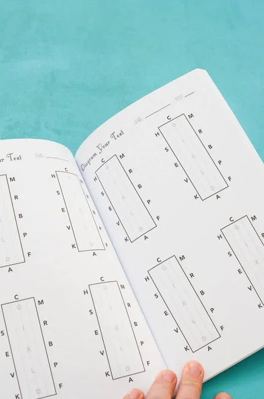 The Dressage Rider's Journal