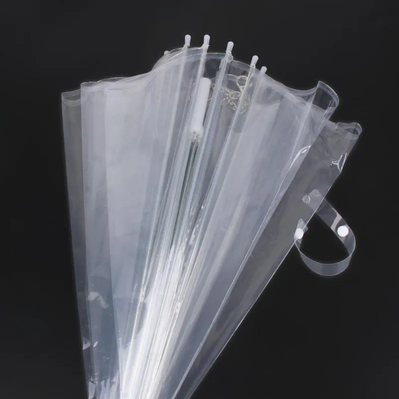 Transparent Umbrella and Leash