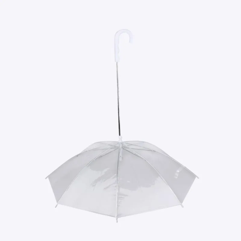 Transparent Umbrella and Leash