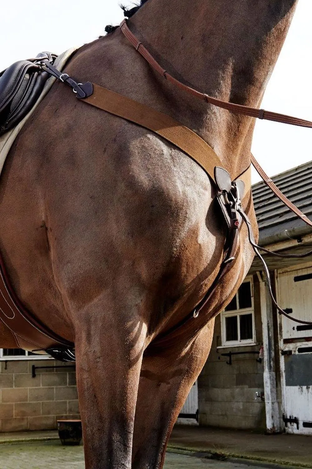 Whitaker Breastplate Ready To Ride