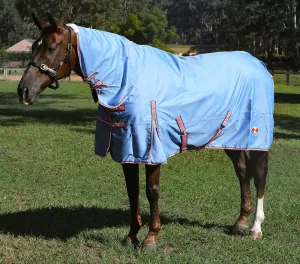 Zilco Guardian Combo Rug Pale Blue